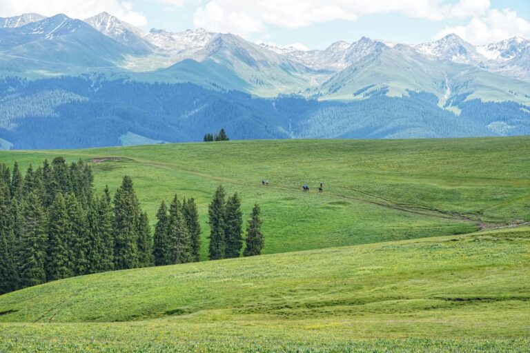 pexels-gang-liang-2159128498-35987137