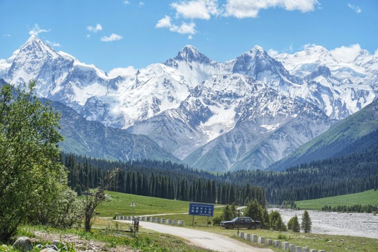 pexels-gang-liang-2159128498-36003363